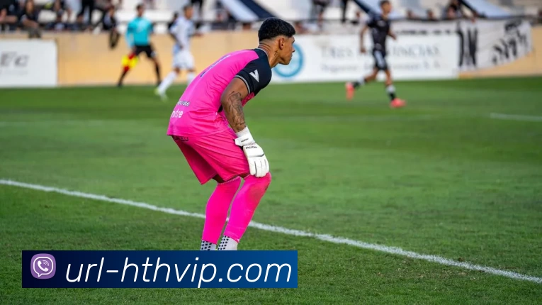 华体会APP 封面图